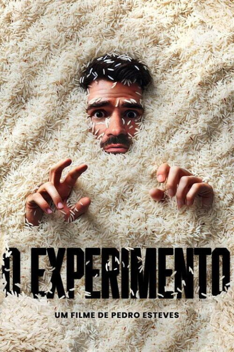 O Experimento (2025)