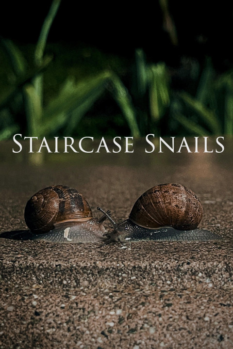 Staircase Snails (2025)