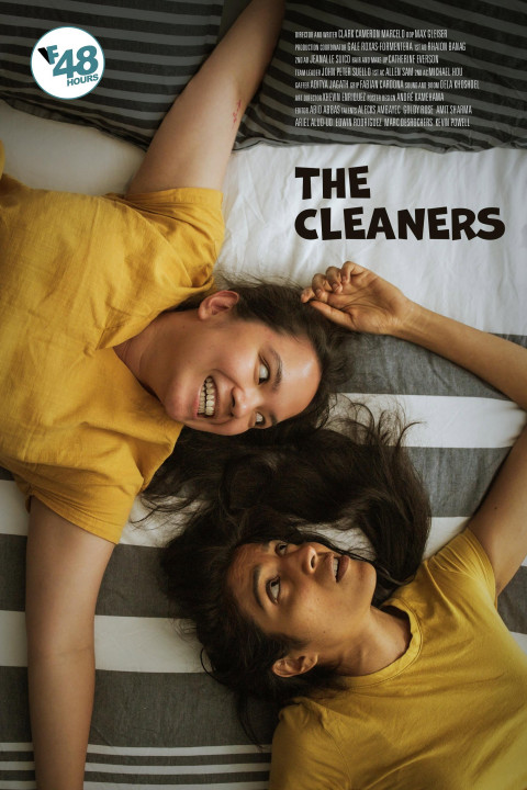 The Cleaners (2025)