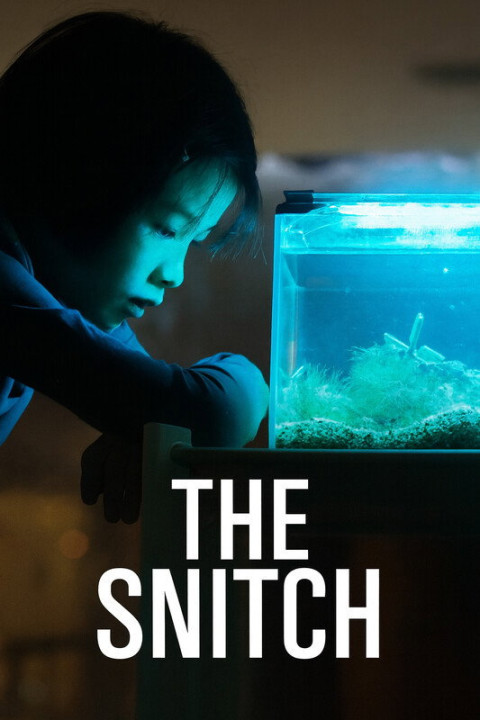 The Snitch (2025)