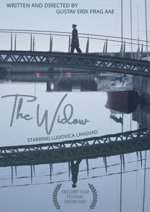 The Widow (2025)