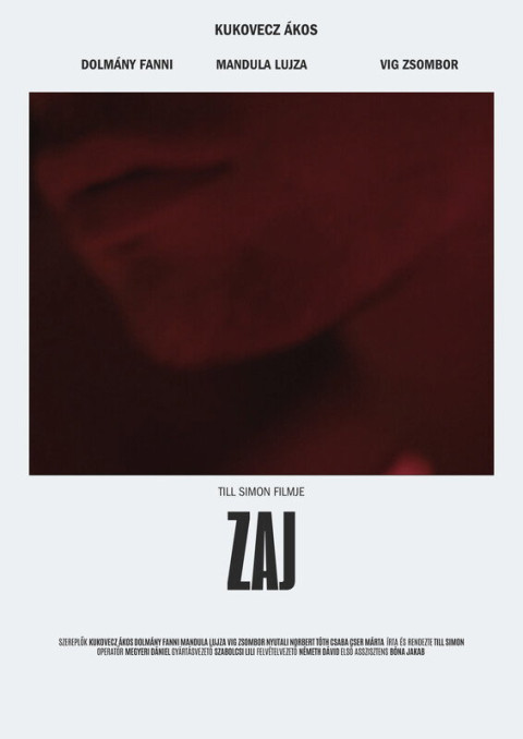 Zaj (2025)