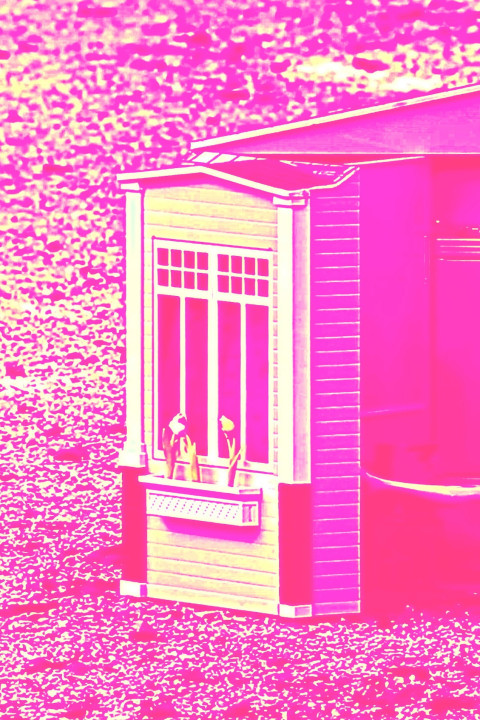 CARNE-FICCIÓN