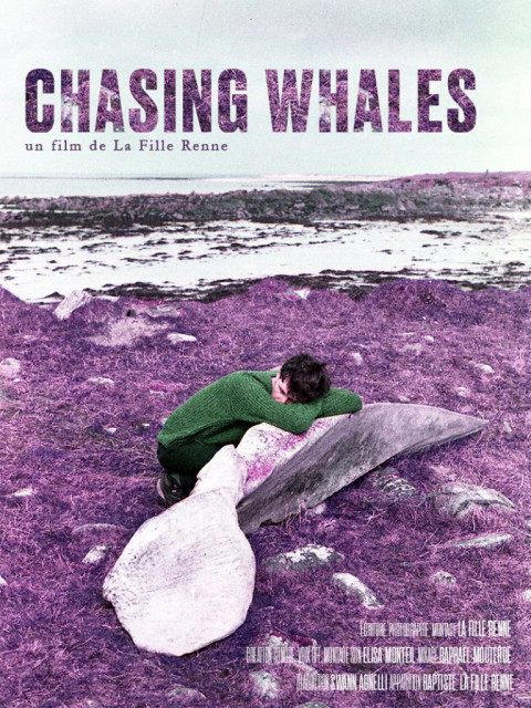 Chasing Whales (2025)