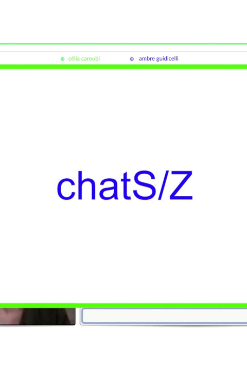 chatS/Z (2025)