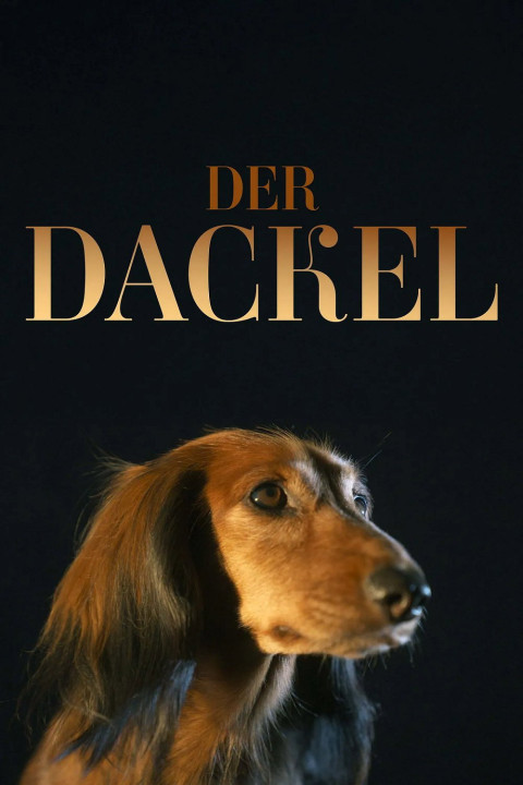 Der Dackel (2025)