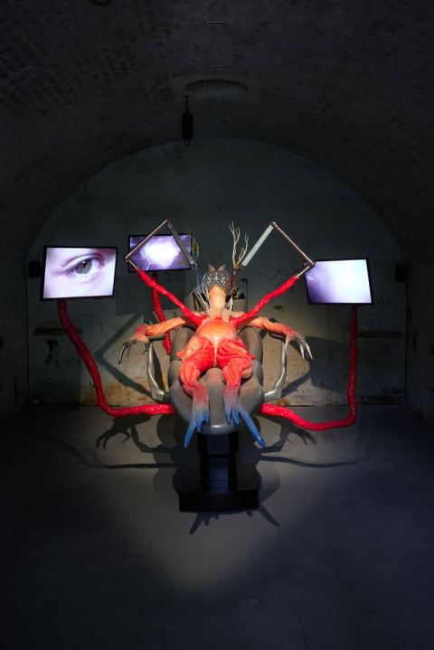 Opera Medica (2025)