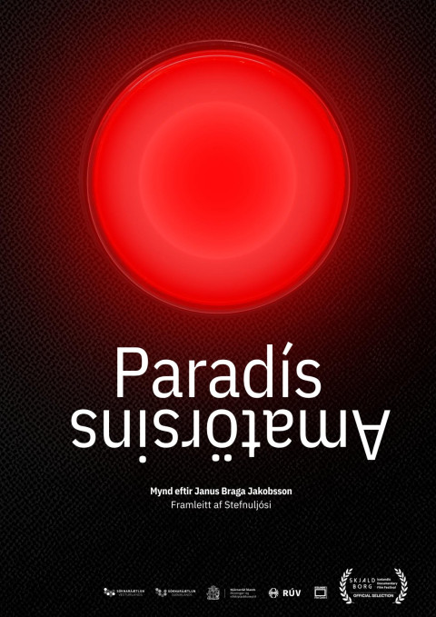 Paradís Amatörsins (2025)