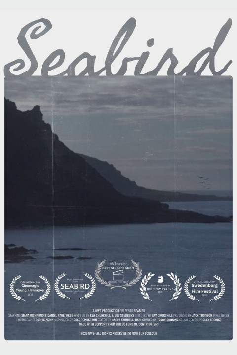 Seabird (2025)