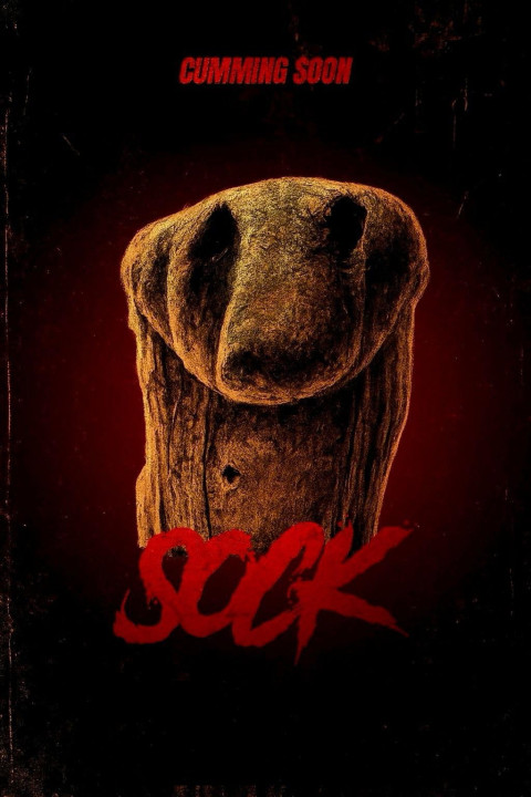Sock (2025)