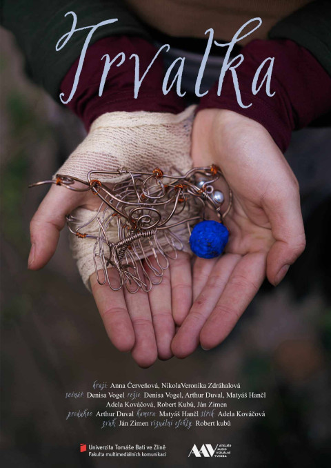 Trvalka (2025)