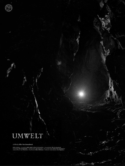 Umwelt (2025)