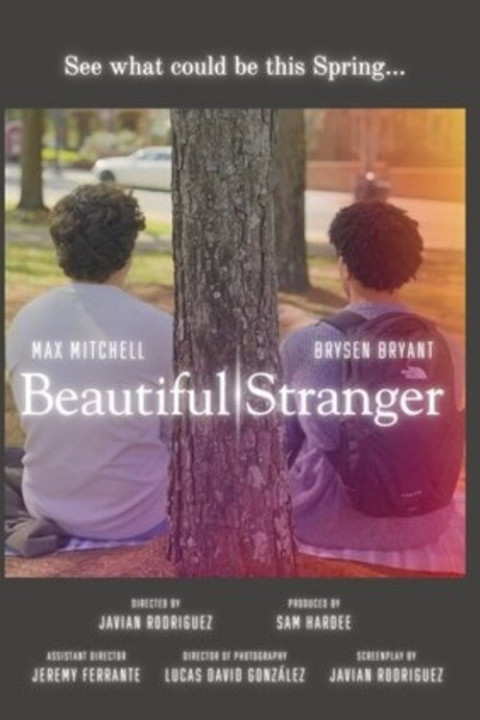 Beautiful Stranger (2025)
