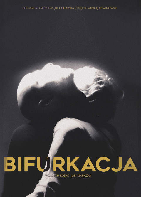 Bifurkacja
