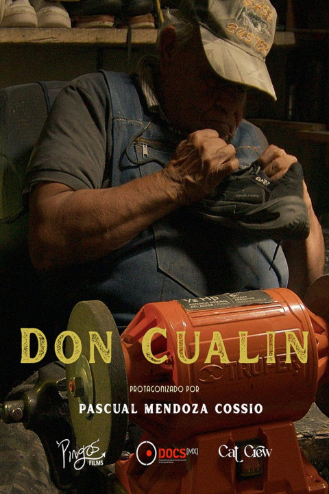 Don Cualín (2025)