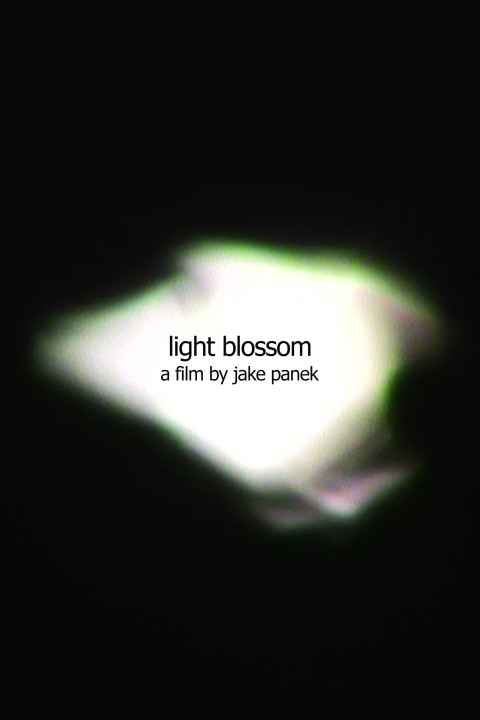light blossom (2025)