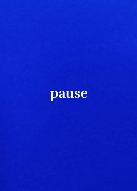 pause (2025)