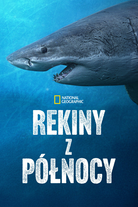 Rekiny z północy (2025)