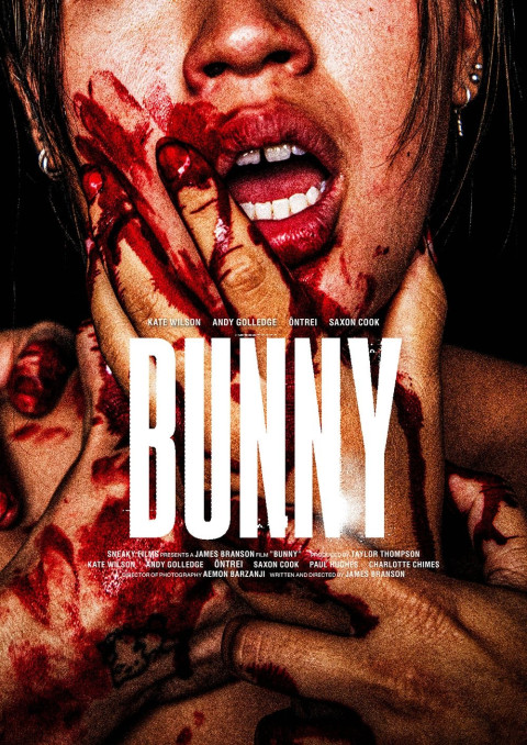 Bunny Rabbit