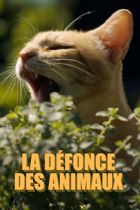 La défonce des animaux (2025)