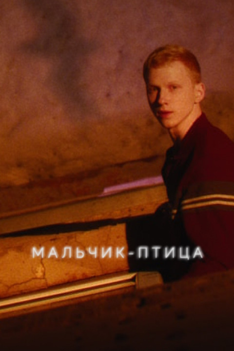 Мальчик-птица (2025)