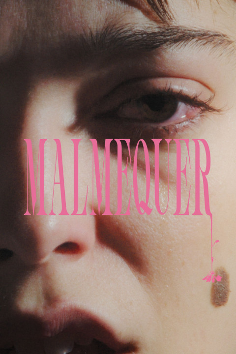 Malmequer (2025)