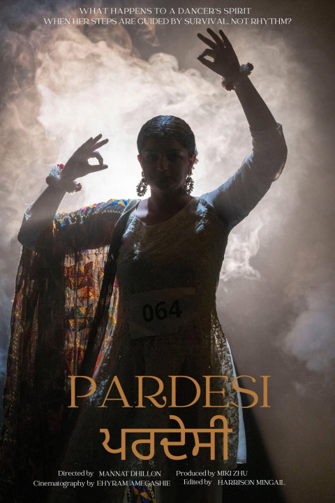 Pardesi (2025)