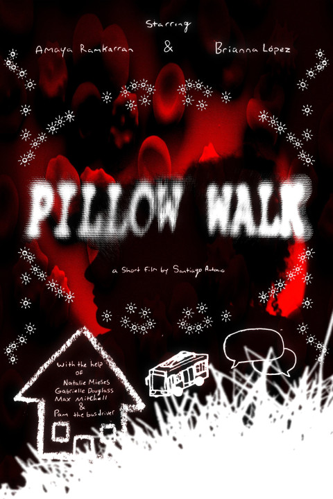 Pillow Walk (2025)