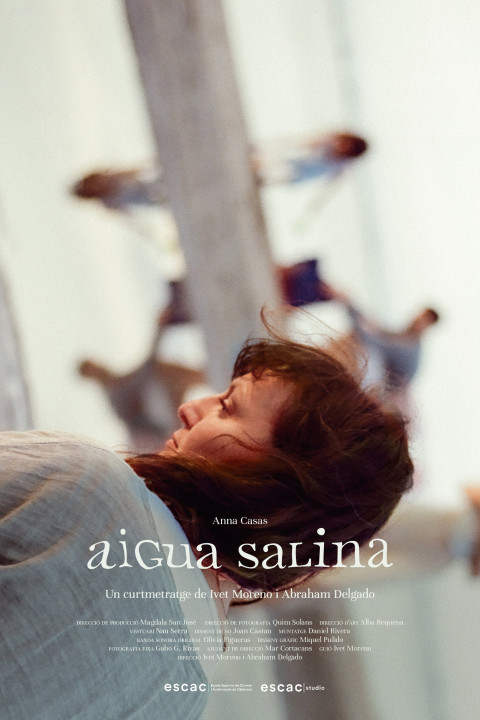 Aigua Salina (2025)
