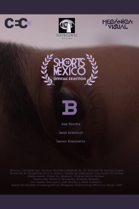 B (2025)