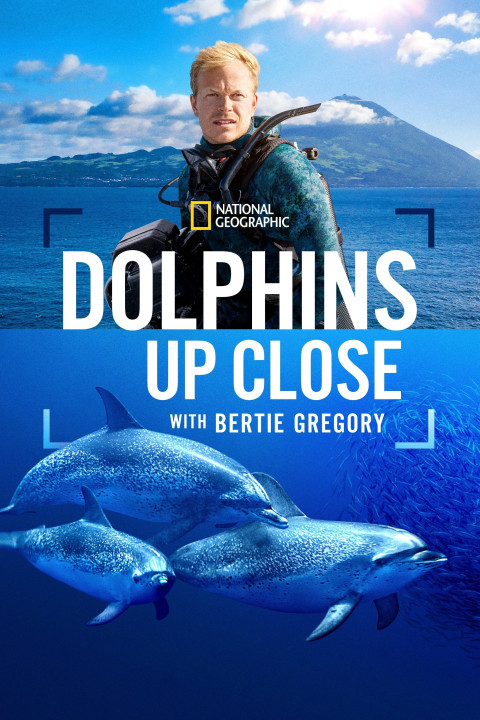 Bertie Gregory: bliskie spotkanie z delfinami (2025)
