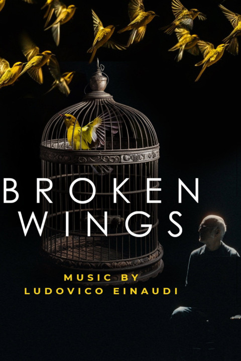 Broken Wings (2025)