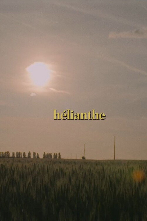 Hélianthe (2025)