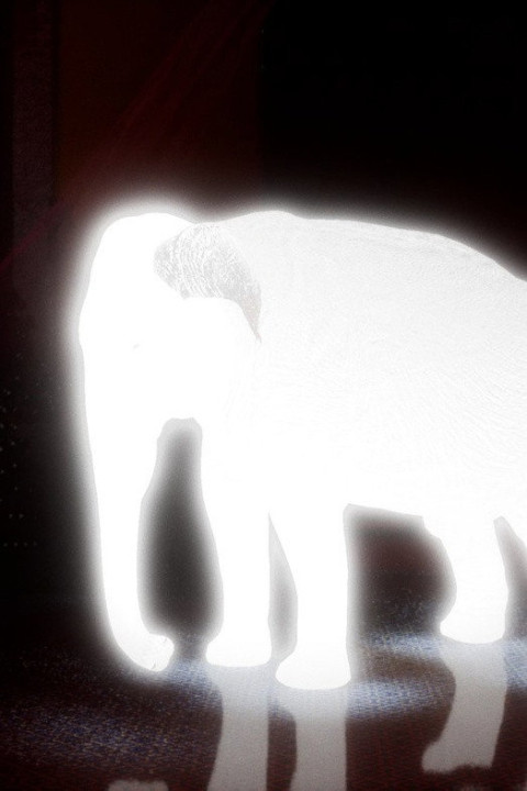 King of Cyborg Elephant (2025)