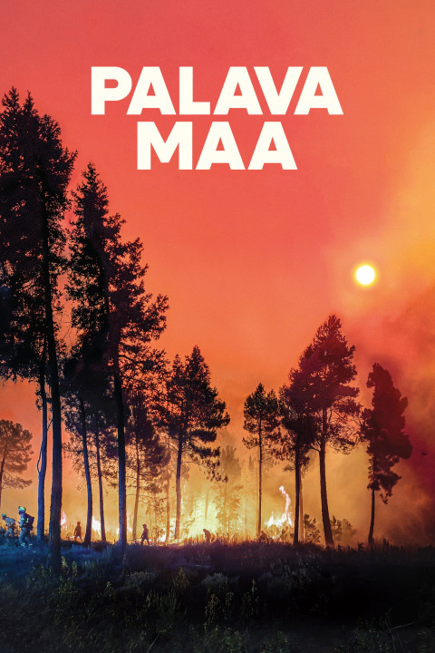 Palava maa (2025)