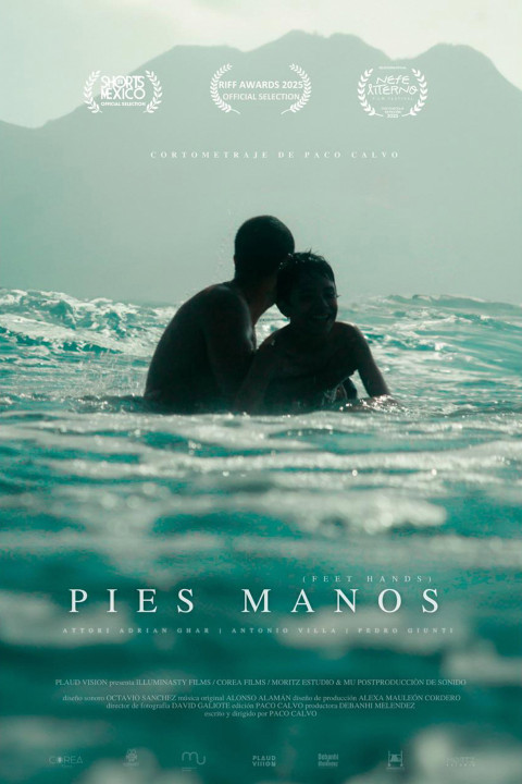 Pies, manos (2025)