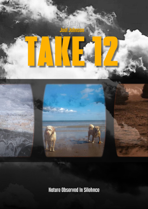Take 12 (2025)