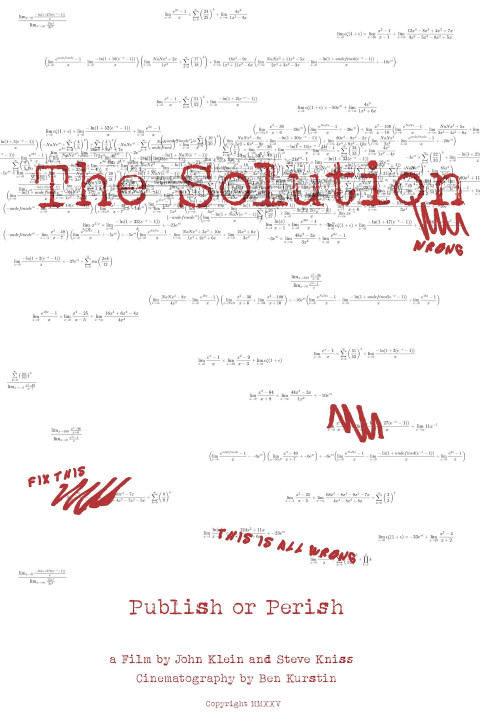 The Solution (2025)