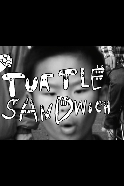 Turtle Sandwich (2025)