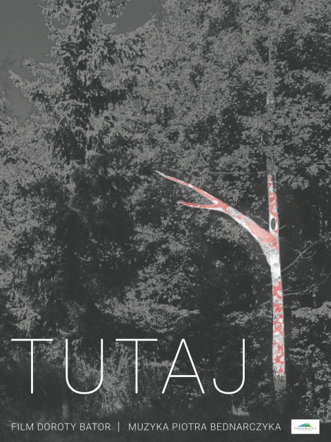 Tutaj (2025)