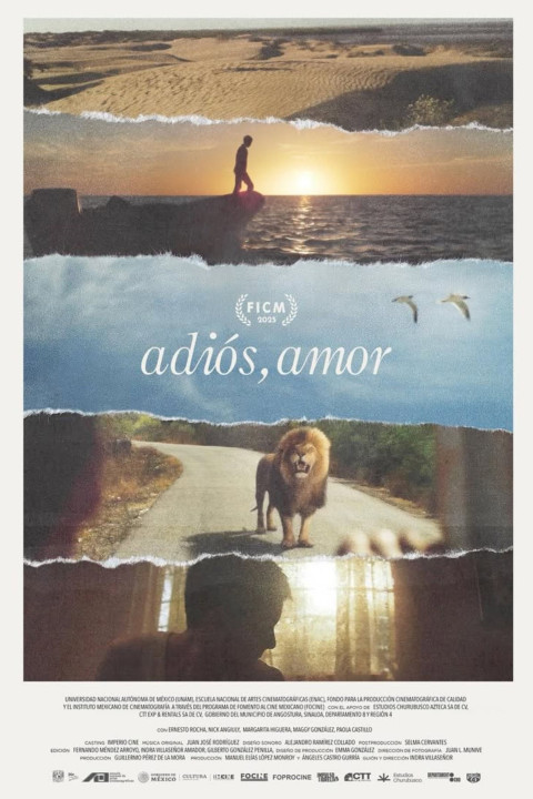 Adiós, amor (2025)