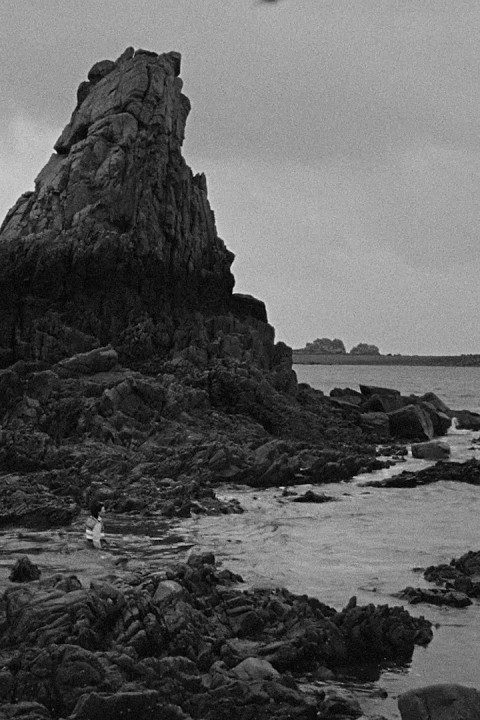 Algues noires (2025)