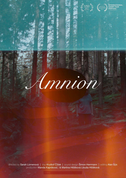 Amnion (2025)