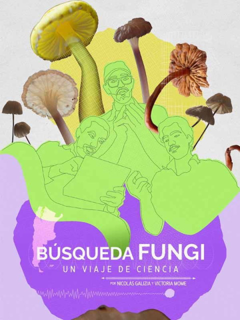 Búsqueda Fungi (2025)