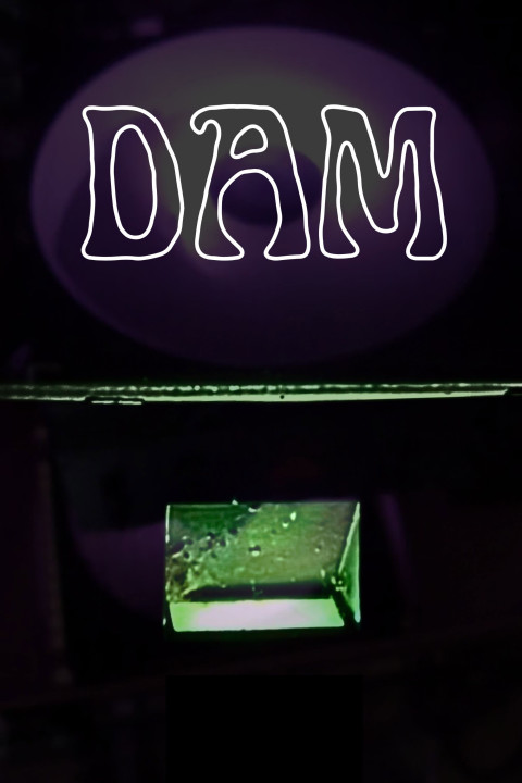 Dam (2025)