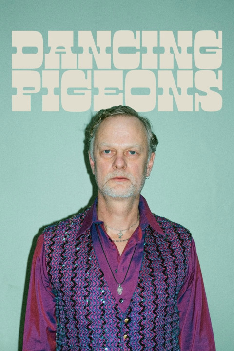 Dancing Pigeons (2025)