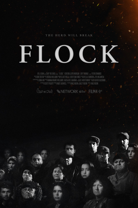 Flock (2025)