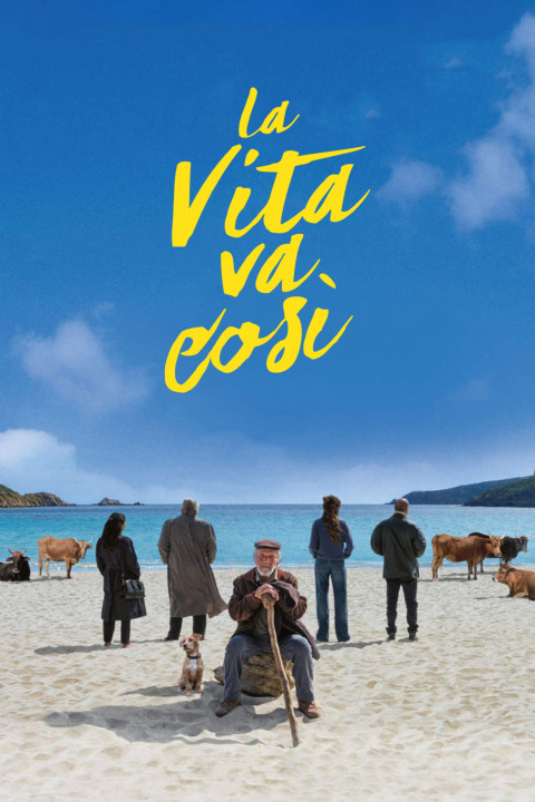 La vita va così (2025)
