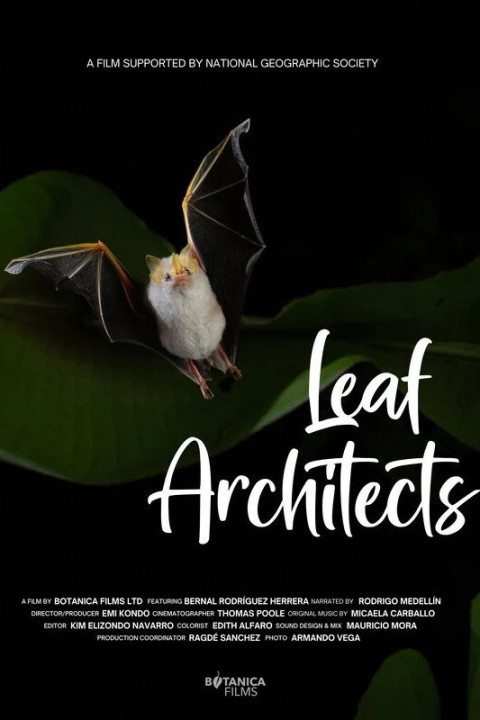 Leaf Architects (2025)