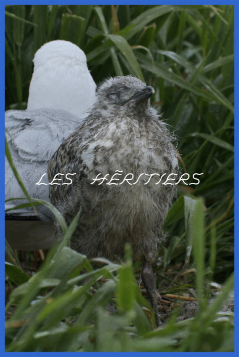 Les héritiers (2025)